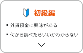 初級編