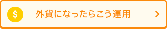 外貨になったらこう運用